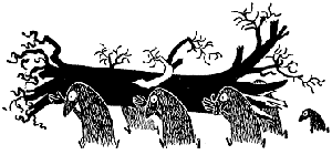 ����� �����