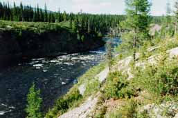 ����� ������ ������