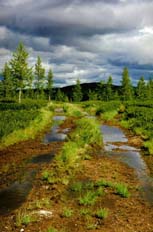 ����� �� ���-�����